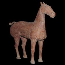Cheval debout à l'arrêt